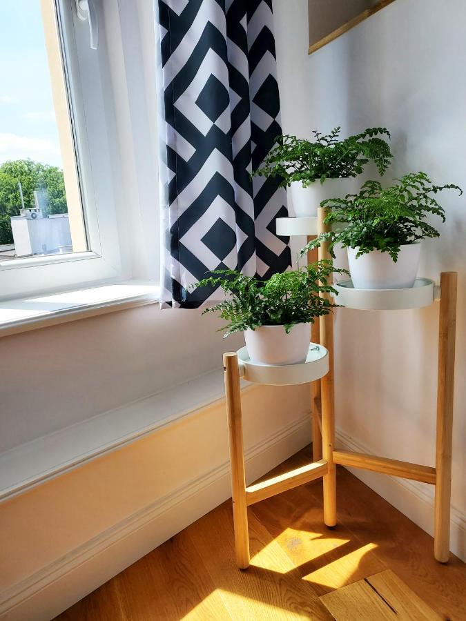 ŚwidnicaCentrum Grand Apartament公寓 外观 照片